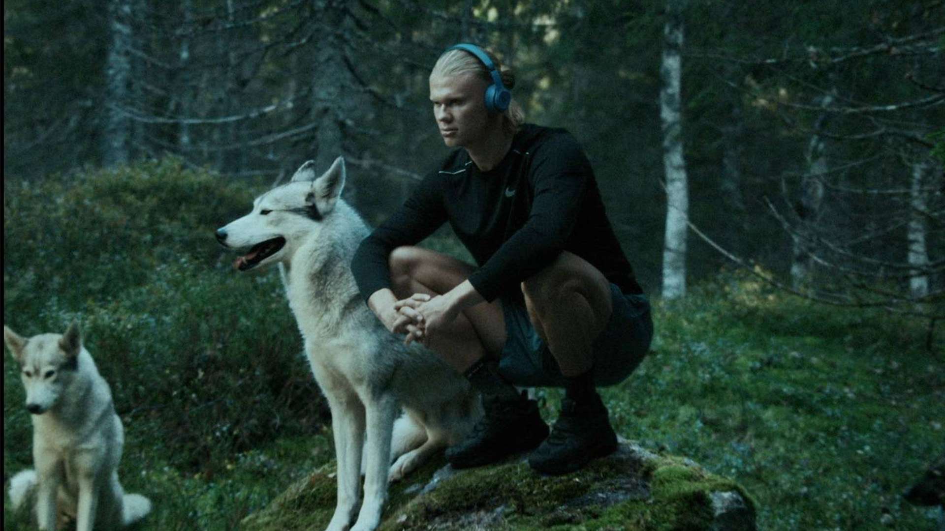 魅力和战术 魅力和战术